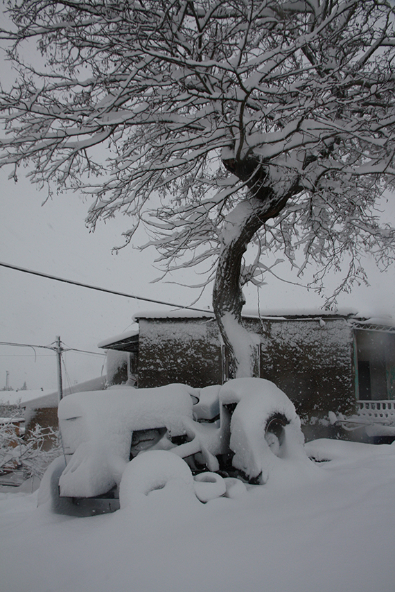 La nevicata del '12